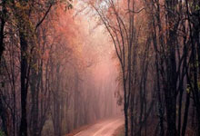 NG体育：宏远队史首人！徐杰同时获MVP+一阵+最快进步提名，杜锋立大功.