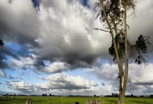 NG体育：[天下足球]雷纳破门 多特蒙德战平霍芬海姆.