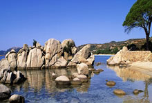 记者：拜仁今夏至少想引进1名新边锋，吉滕斯、尼科、切尔基在列.